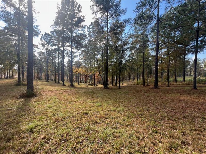 Natural landscape and outdoor views near  in Eatonton (Image 8).