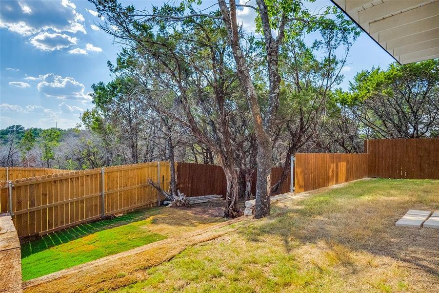 View of fenced backyard