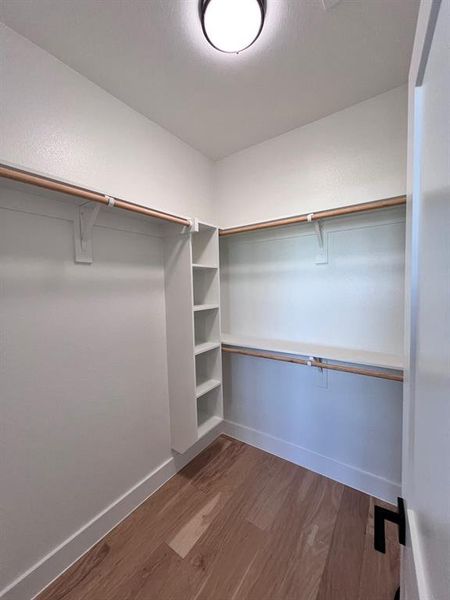 Spacious master closet featuring wood-type flooring