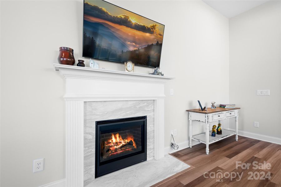 This natural gas vented fireplace with gorgeous surround is the focal point of this graciously-sized Great Room with beautiful, low maintenance LVP flooring throughout the main living areas.