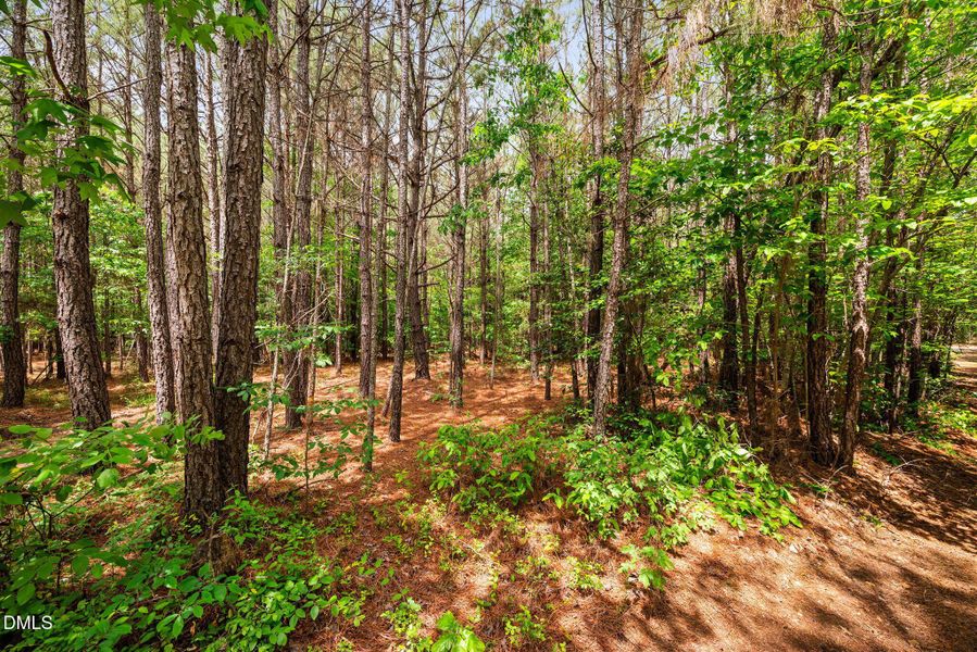 33-web-or-mls-s-plank-rd 33-web-or-mls-s-plank-rd