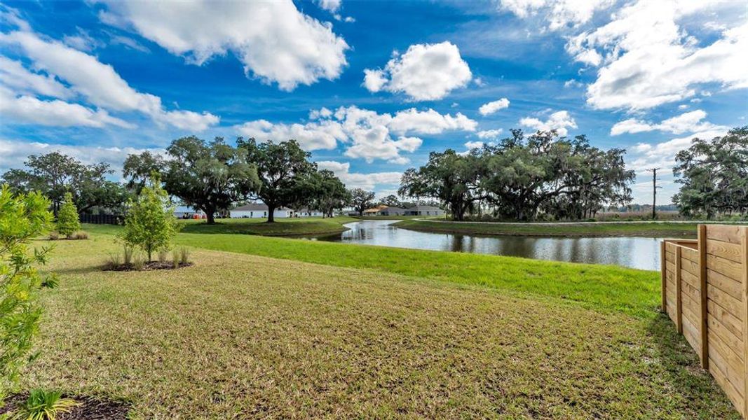 Natural landscape and outdoor views near Timber Ridge in Plant City (Image 29).