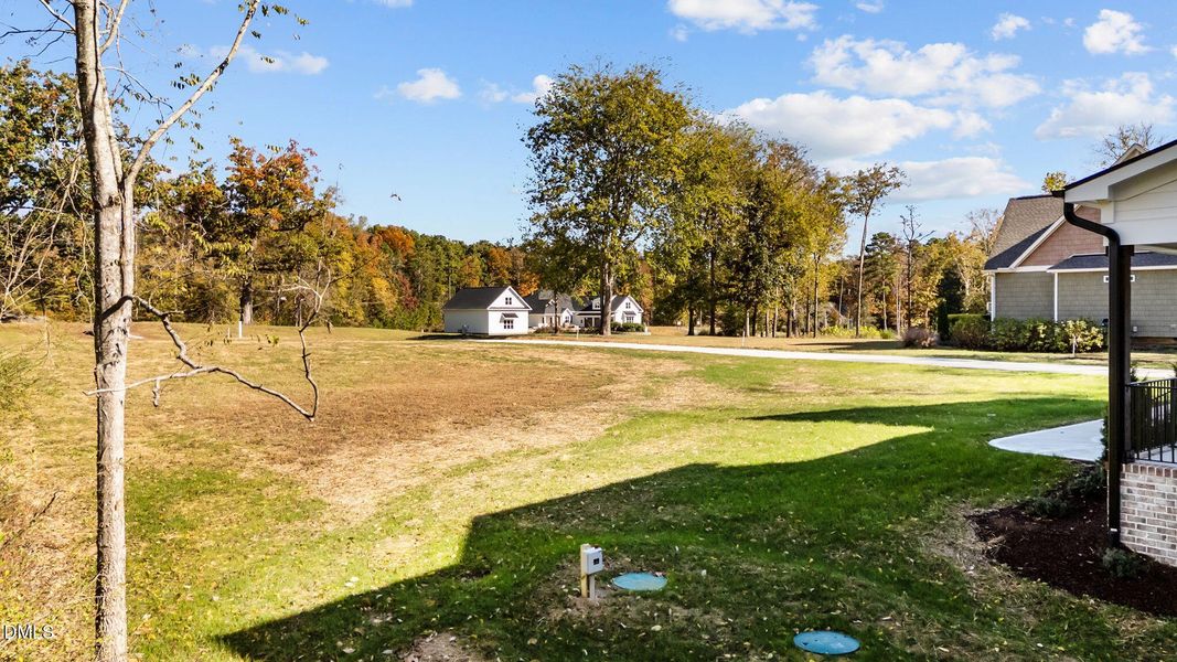 Front yard Front yard