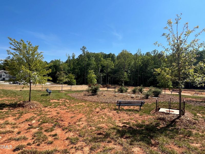 Dog Park