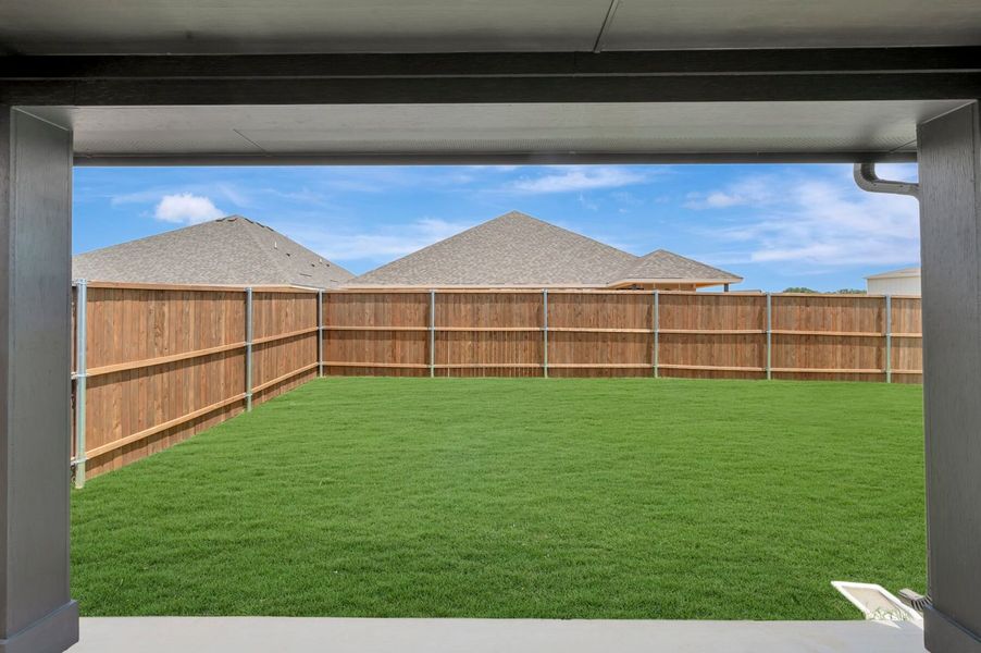 Backyard Backyard