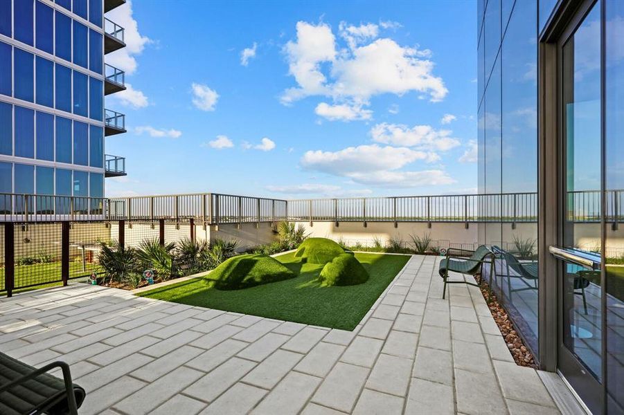 Dog park on the 11th floor.