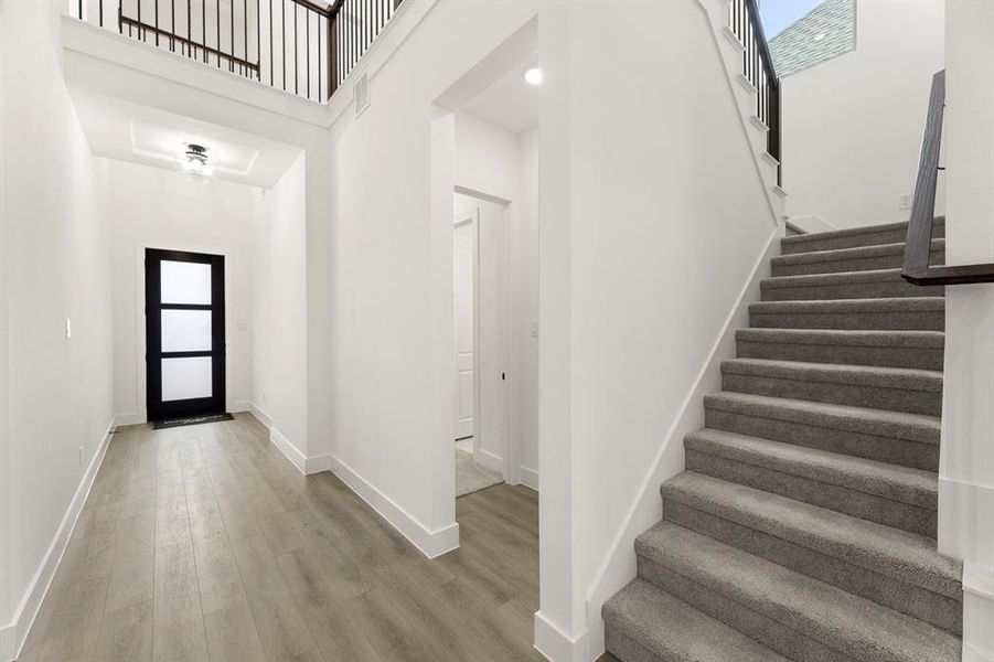 3_04. 1028 Golden Galaxy - Entry