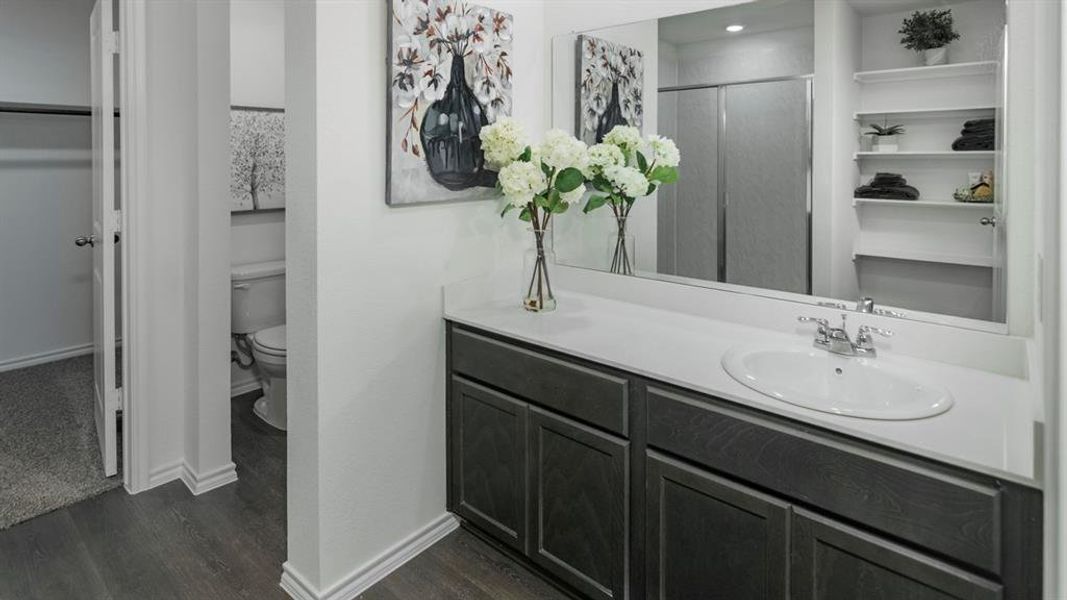 Bathroom with a walk in closet, a shower stall, vanity, and dark wood-style flooring