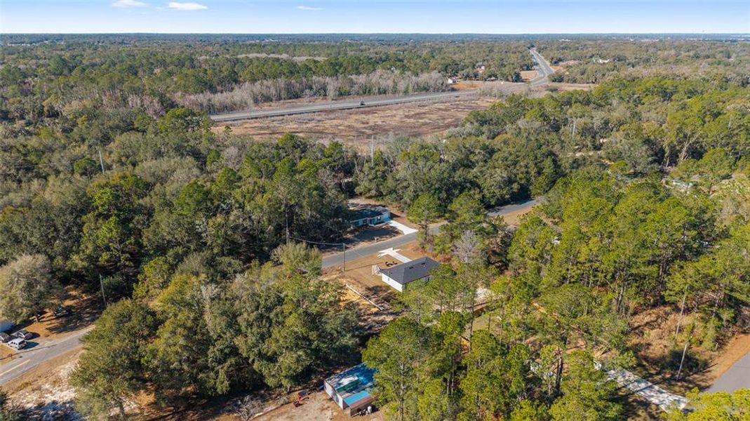 Natural landscape and outdoor views near  in Ocala (Image 42).