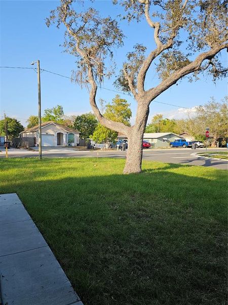 Natural landscape and outdoor views near  in St. Petersburg (Image 17).