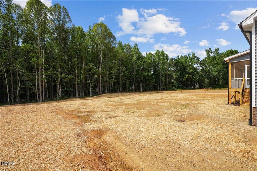 11-1859 S Big Woods Rd-11