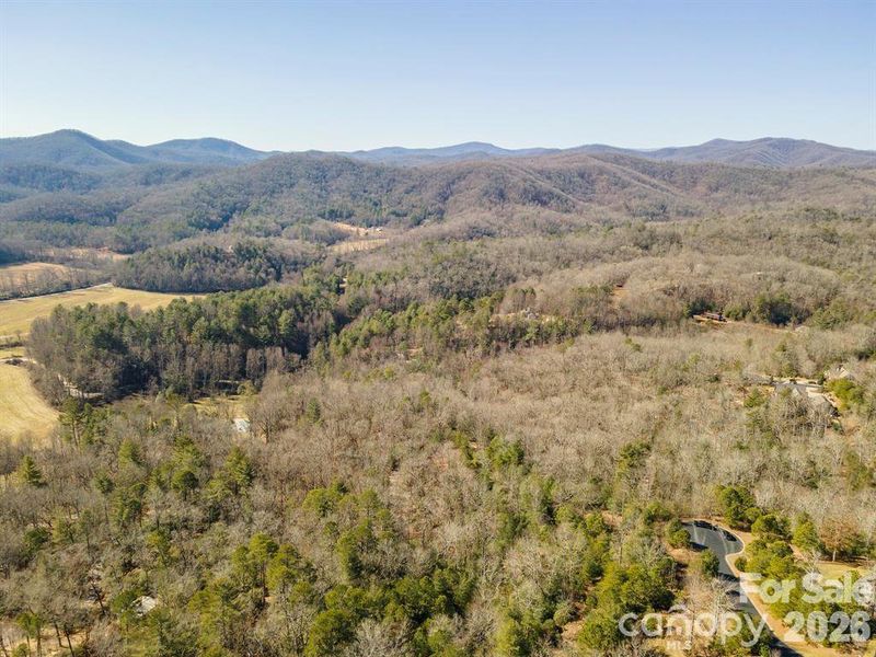 Natural landscape and outdoor views near  in Horse Shoe (Image 12).