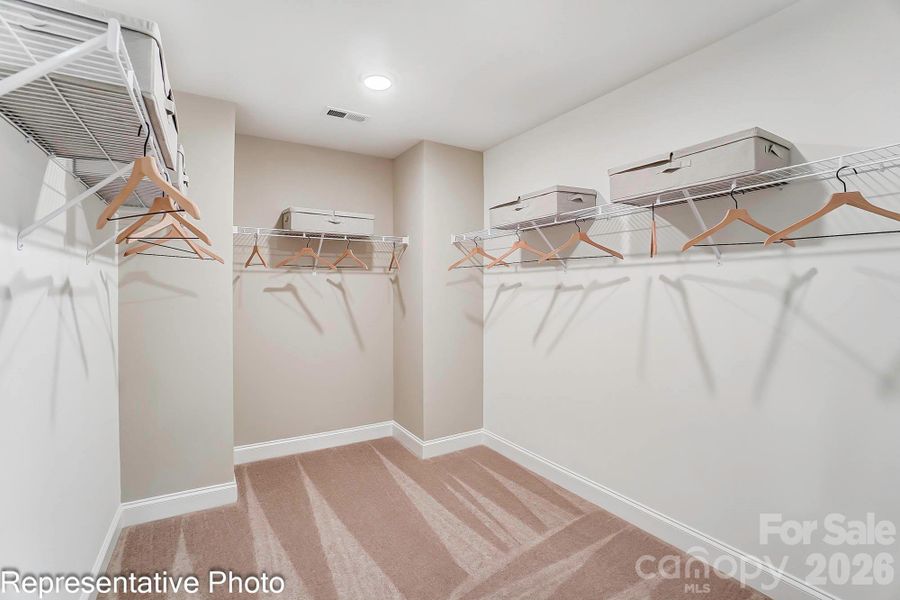 Primary closet example