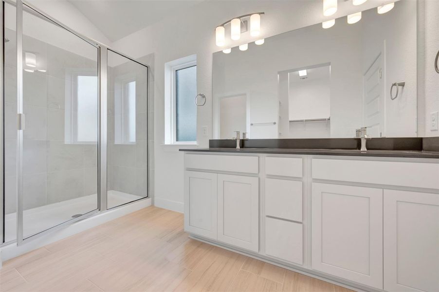 Owner's Bathroom