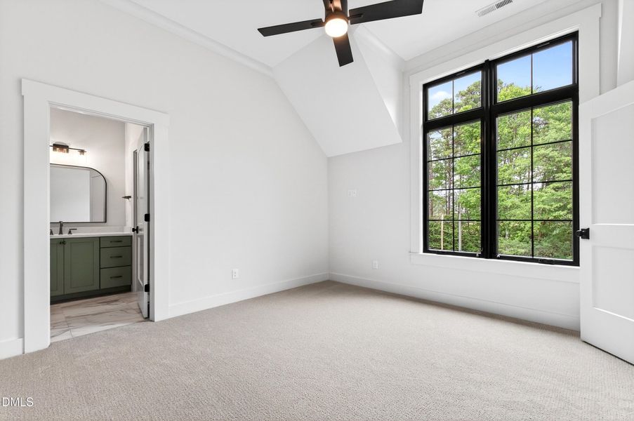 Edenburgh New (50)