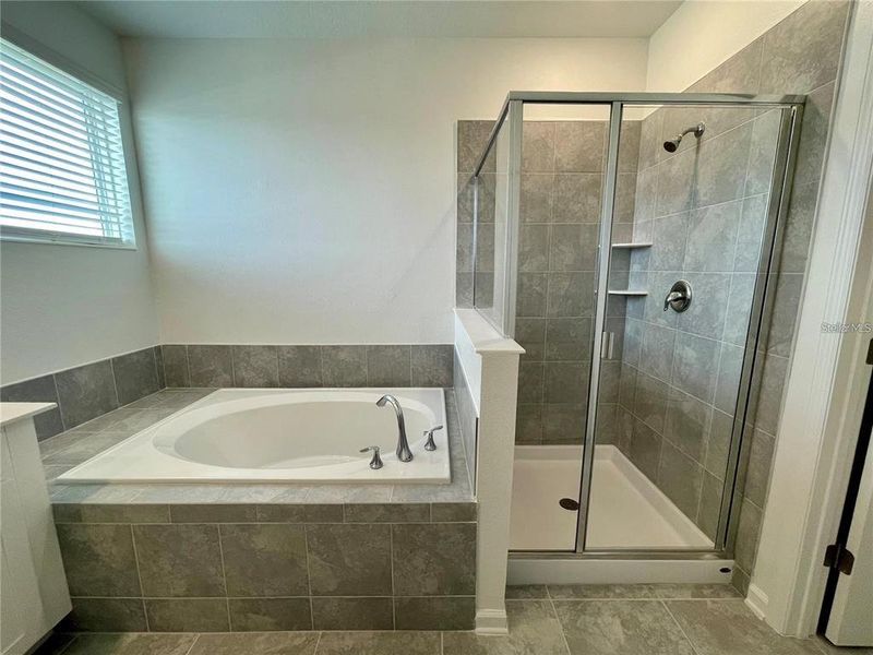 Furnished interior view inside a new home in , Davenport (Image 9).