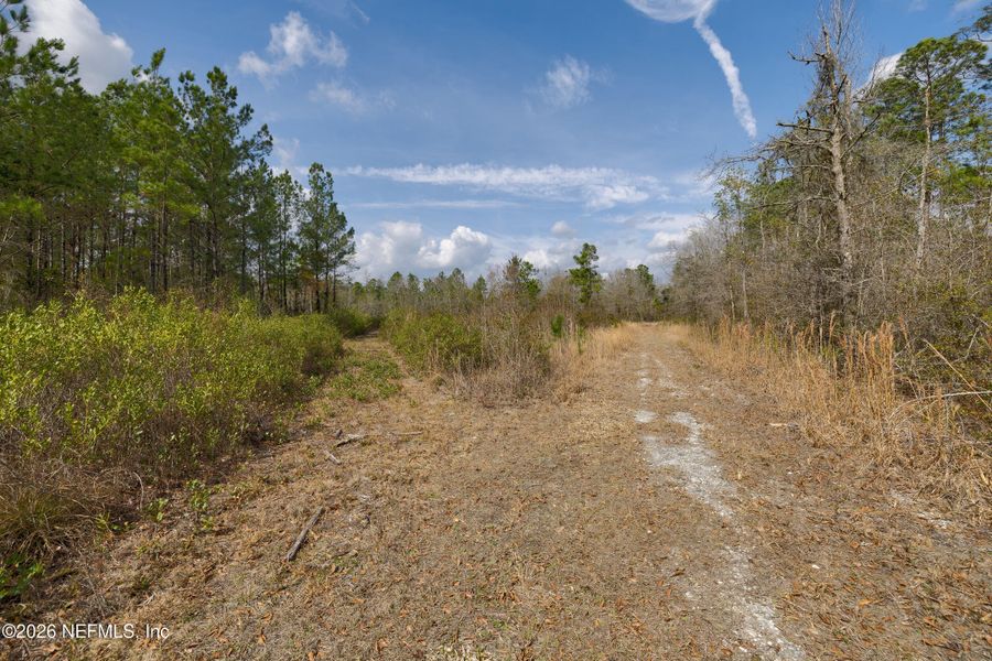 Natural landscape and outdoor views near  in Jacksonville (Image 71).