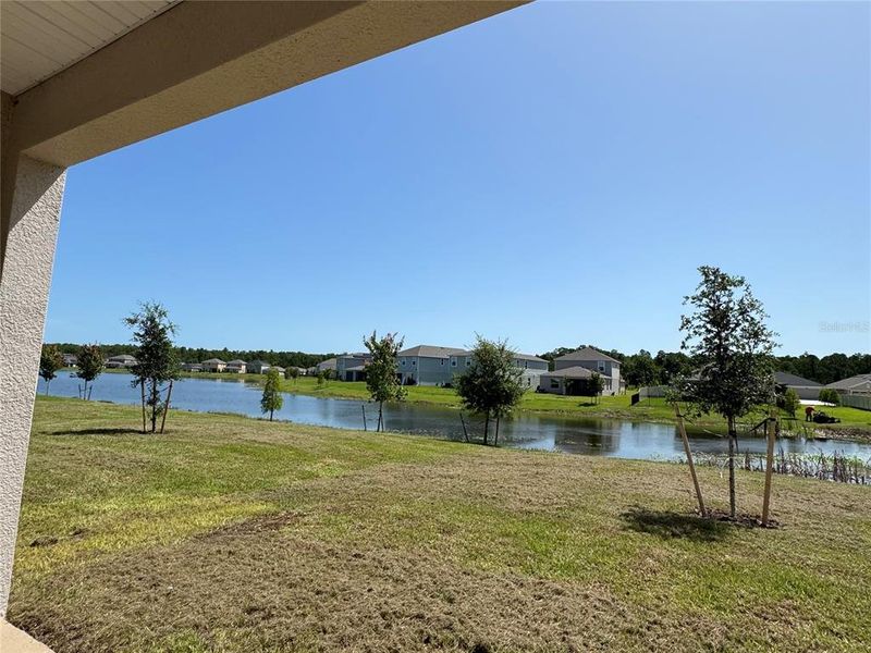 Image 46 of a home in Harmony Central. Image 46 of a home in Harmony Central.