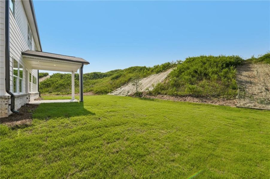 Exterior details and patio area of a home in Preserve at Mountain Creek, Pendergrass (Image 22).