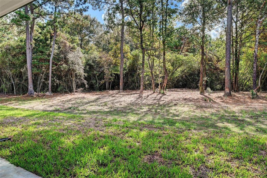 Natural landscape and outdoor views near  in Montgomery (Image 42).