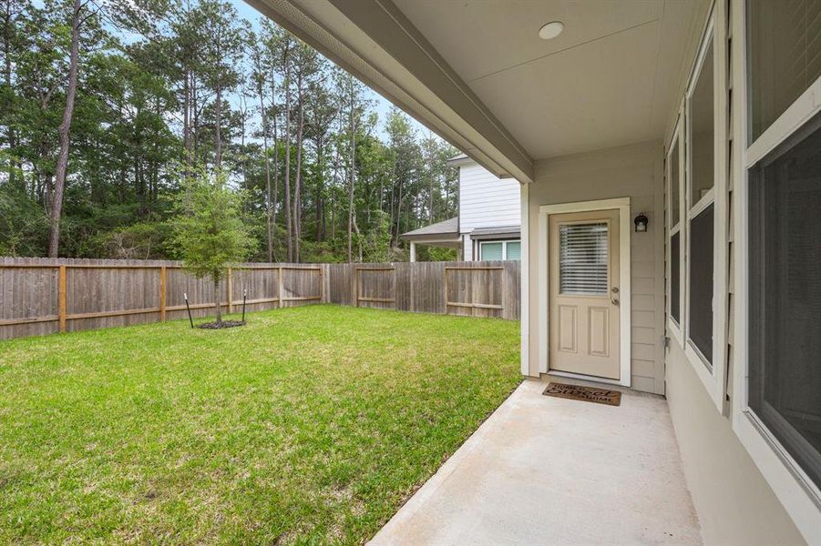 Backyard Patio