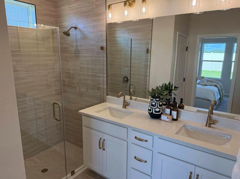 Owner's Bath