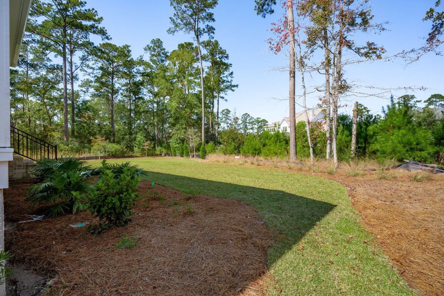Natural landscape and outdoor views near  in Ravenel (Image 75).