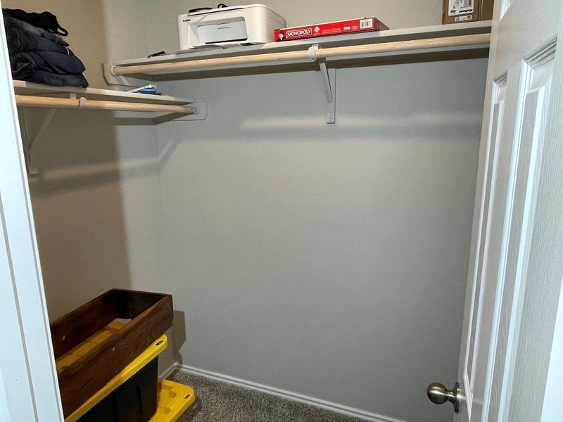 Spacious closet with dark colored carpet
