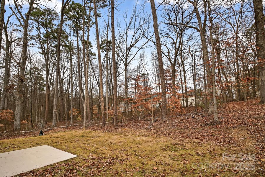 Natural landscape and outdoor views near  in Charlotte (Image 33).