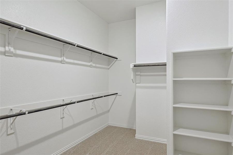 Spacious closet featuring light colored carpet