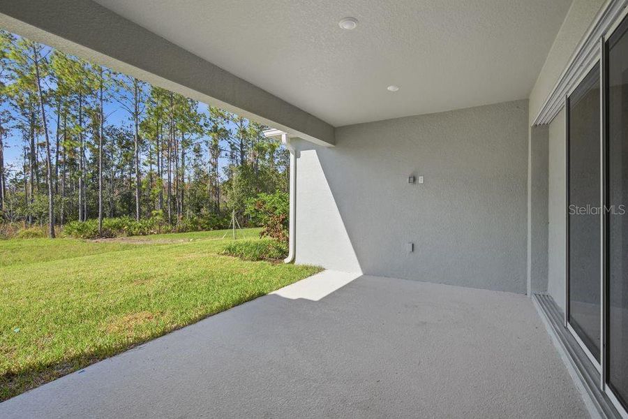 Exterior details and patio area of a home in Hammock at Two Rivers, Zephyrhills (Image 23).
