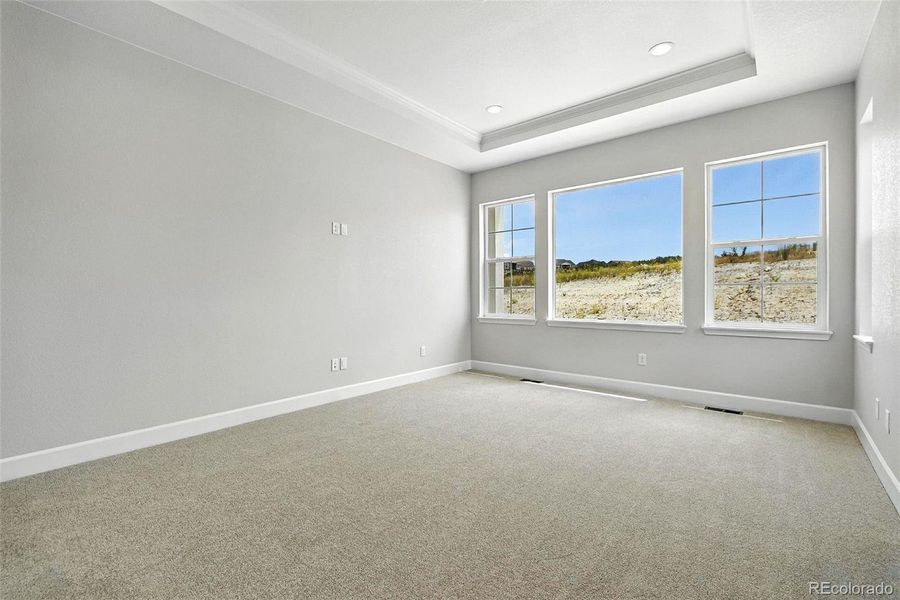 3394 Backdrop Ridge ~ Ready Now