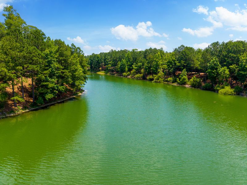 Natural landscape and outdoor views near Sunset Reach in Castle Hayne (Image 40).