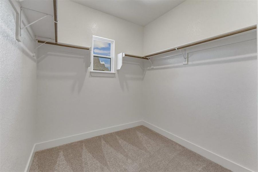 Spacious walk-in closet featuring light-toned carpeting, white walls, built-in shelving, hanging rods, and a window for natural light Spacious walk-in closet featuring light-toned carpeting, white walls, built-in shelving, hanging rods, and a window for natural light