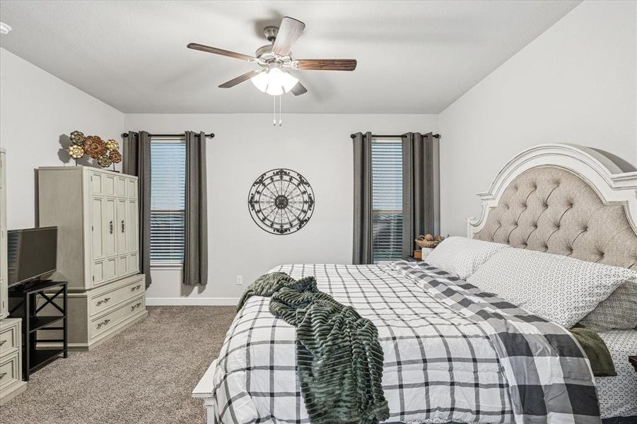 Primary bedroom with carpet flooring, baseboards, and ceiling fan Primary bedroom with carpet flooring, baseboards, and ceiling fan