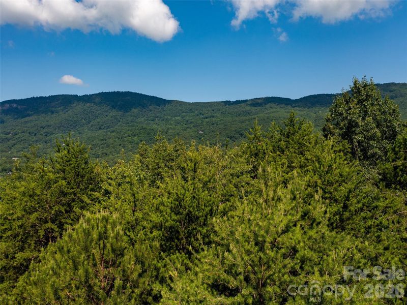 Natural landscape and outdoor views near  in Mill Spring (Image 13).