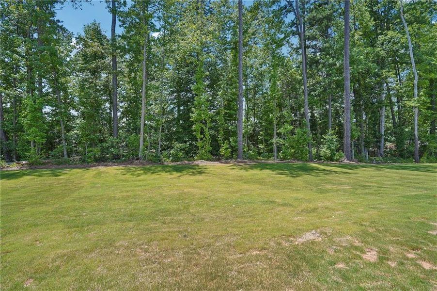 Image 35 of a home in Martin Springs - Estate Series.