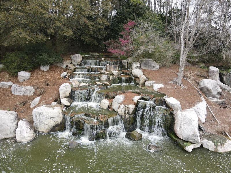 Natural landscape and outdoor views near  in Ocala (Image 27).