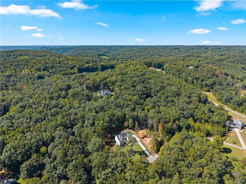 Natural landscape and outdoor views near  in Baldwin (Image 69).