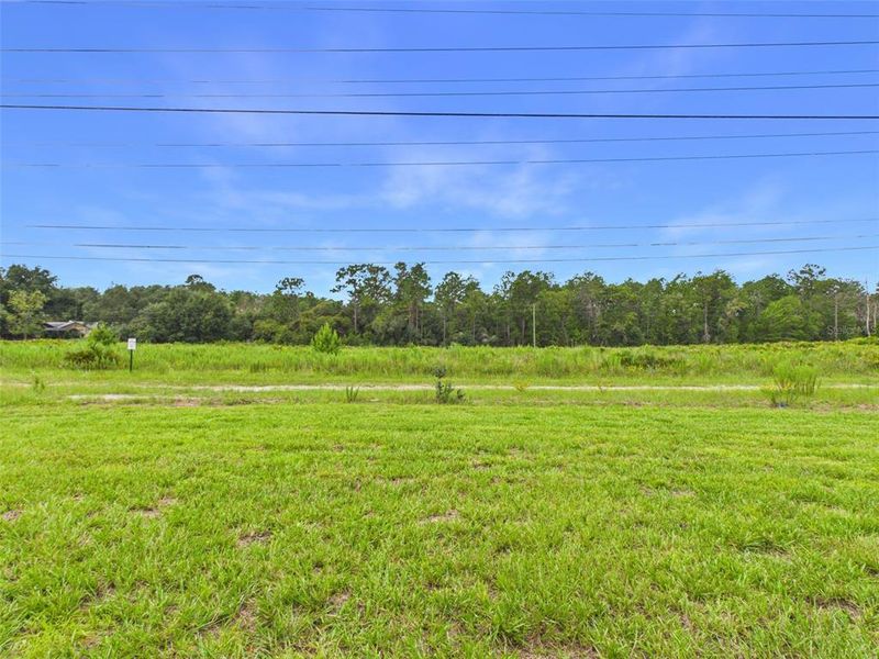 Natural landscape and outdoor views near  in Ocala (Image 18).