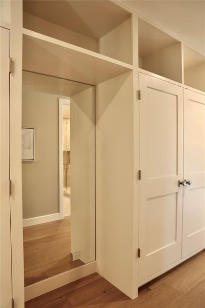 built in mirror in the closet