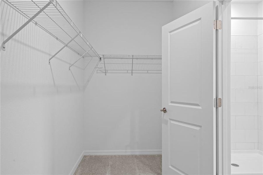 Spacious, unfurnished interior of a new home in Angeline, Land O' Lakes (Image 24).