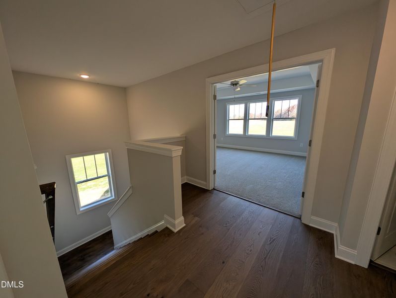 PXL_20251120_144445437