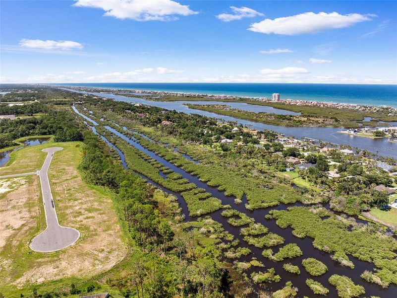 Natural landscape and outdoor views near  in Flagler Beach (Image 52).