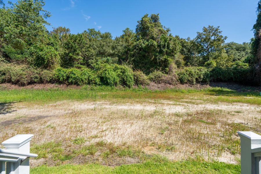 Natural landscape and outdoor views near  in Johns Island (Image 58).