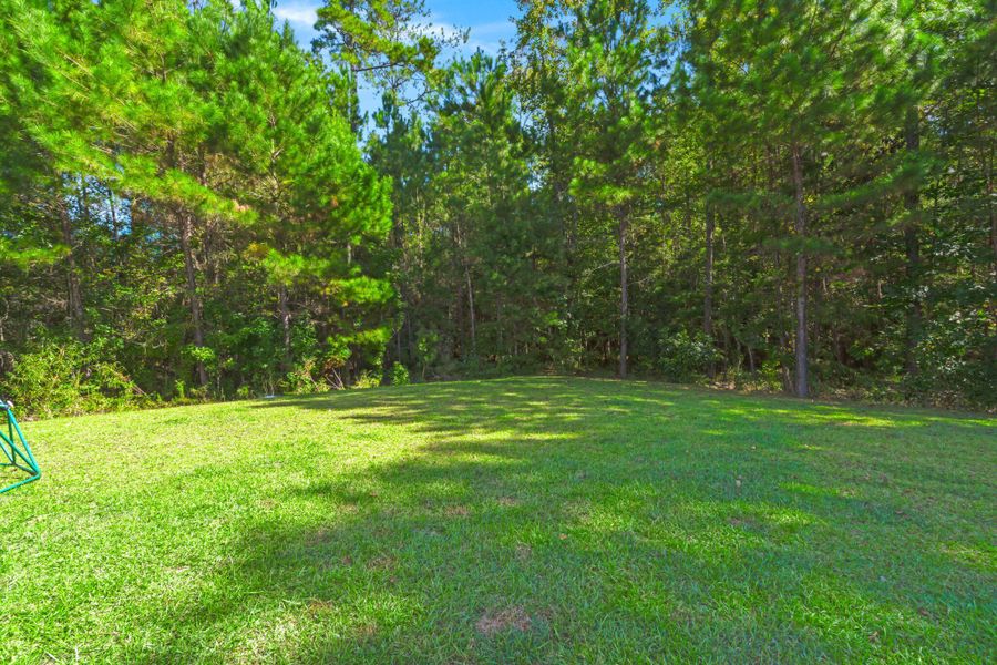 Natural landscape and outdoor views near The Ponds in Summerville (Image 36). Natural landscape and outdoor views near The Ponds in Summerville (Image 36).