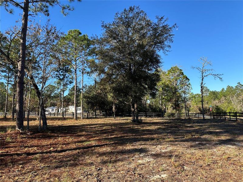 Natural landscape and outdoor views near in Williston (Image 40). Natural landscape and outdoor views near in Williston (Image 40).