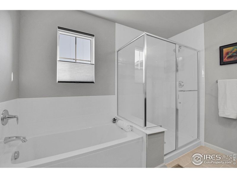 Soaking tub and separate shower