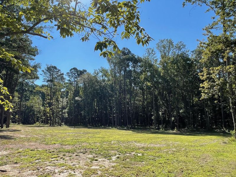 Natural landscape and outdoor views near  in Summerville (Image 17).