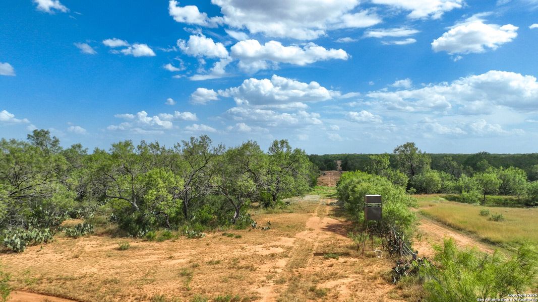 Natural landscape and outdoor views near  in Jourdanton (Image 21).